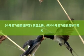 (小鸟爱飞翔最强阵容) 天空之舞，探讨小鸟爱飞翔的奥秘与意义