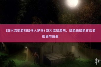 (野火流明游戏玩得人多吗) 野火流明游戏，现象级现象背后的创新与挑战