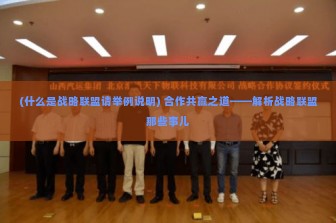 (什么是战略联盟请举例说明) 合作共赢之道——解析战略联盟那些事儿